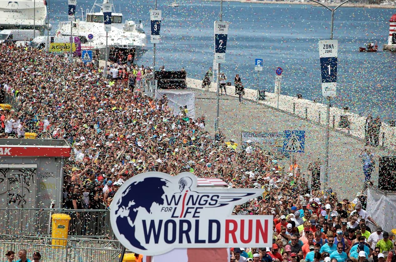 Wings for Life World Run Zadar & PFST 🪽🪽🪽